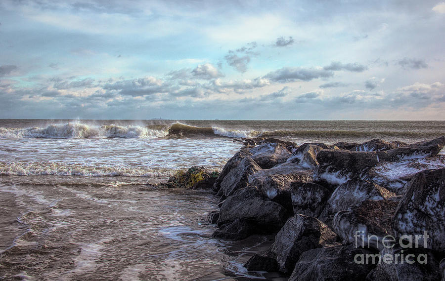 Winter Photograph - What Remains by Diana Nault Winter Photograph - What Remains by Diana Nault
