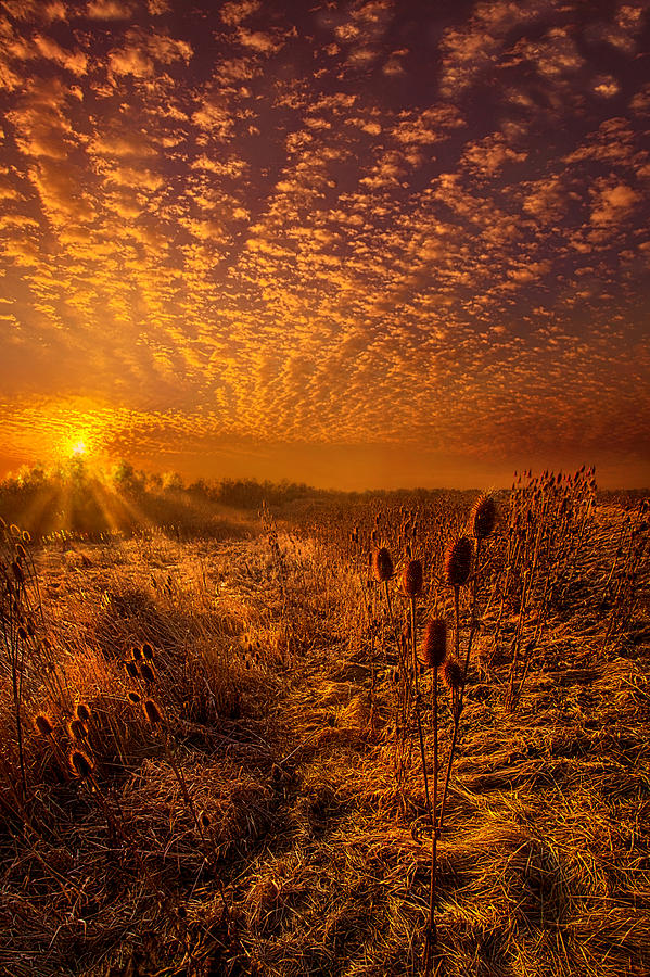 Sunset Photograph - What Will Be Will Be by Phil Koch