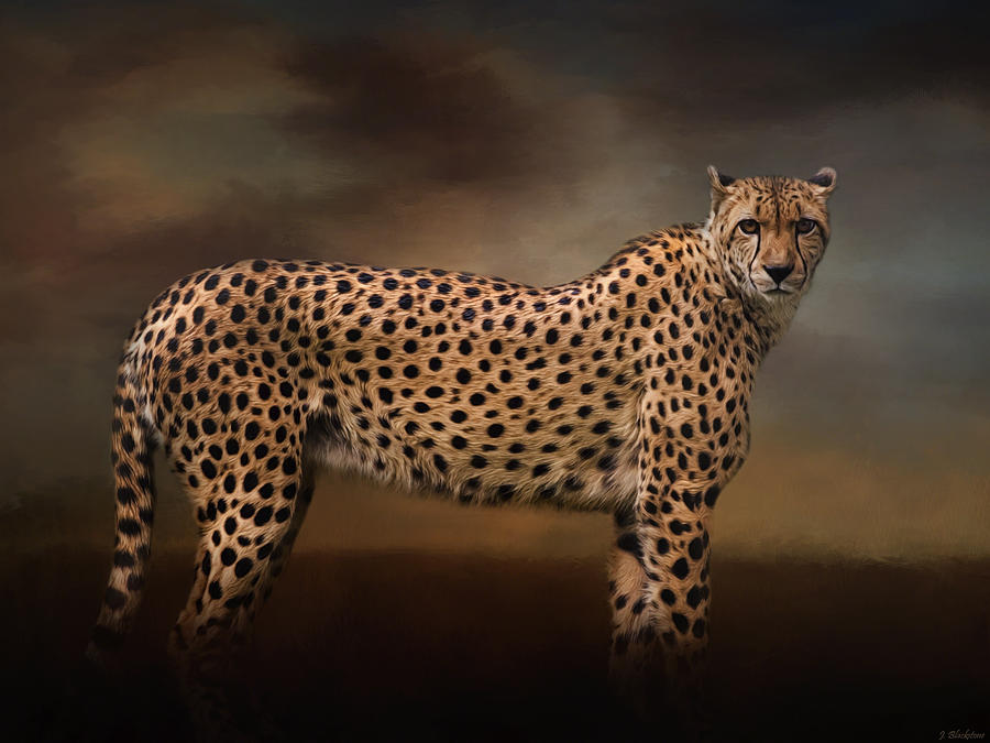 What You Imagine - Cheetah Art Painting by Jordan Blackstone