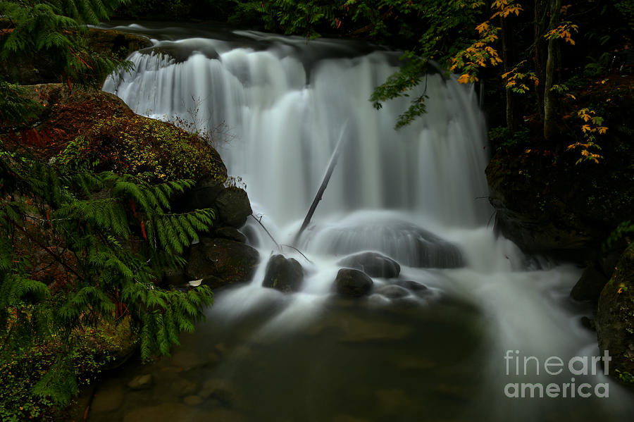 Whatcom Falls Photograph by Adam Jewell