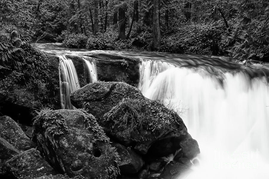 Whatcom Falls in Black and White Photograph by Cheryl Rose