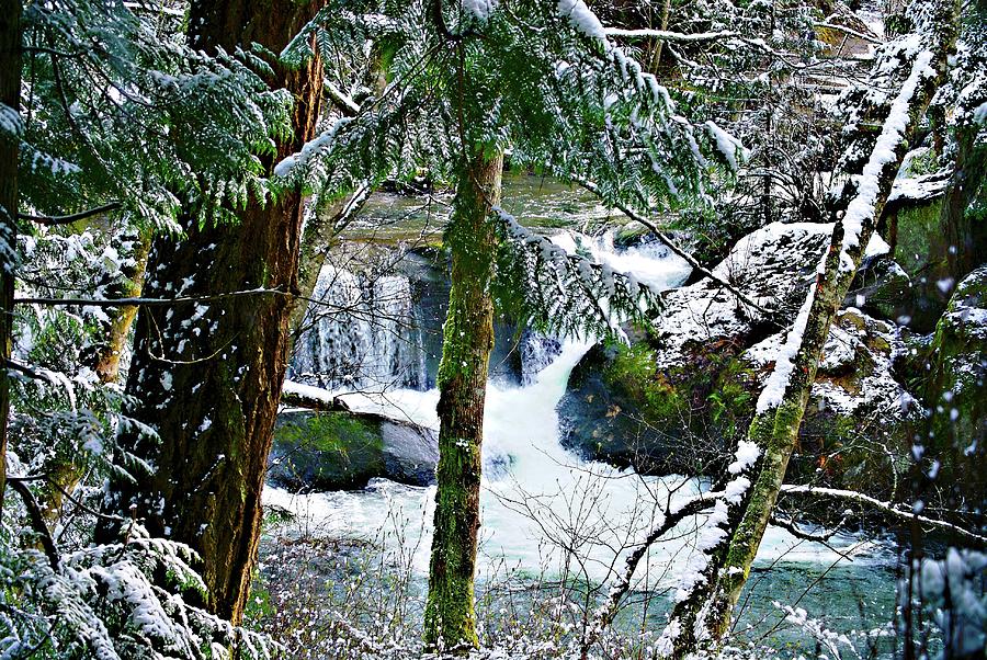 Whatcom Falls In Winter Photograph by Craig Perry-Ollila