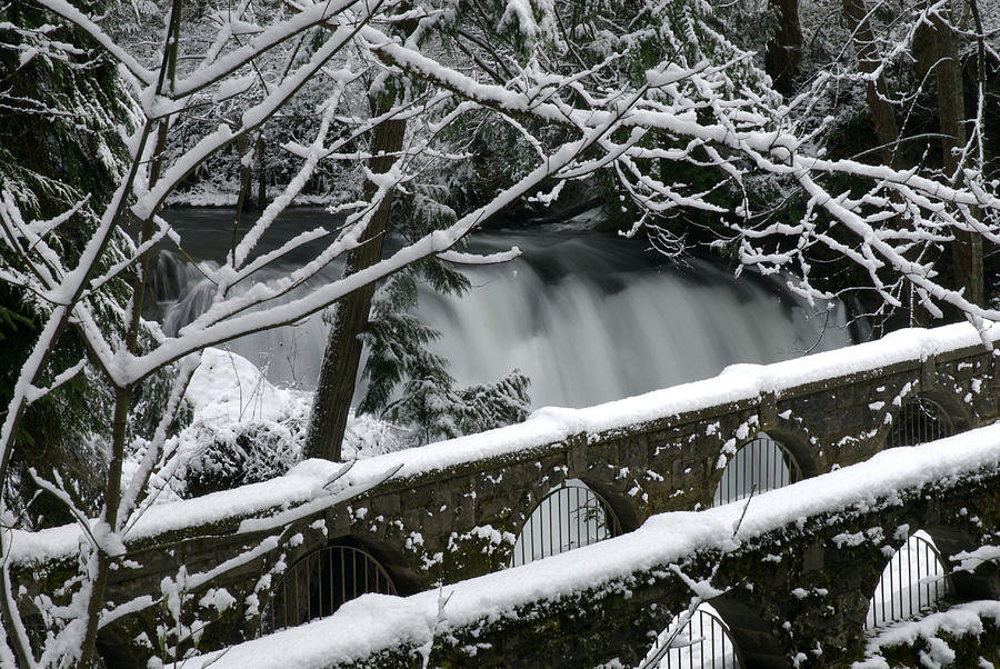 Winter Photograph - Whatcom Falls winter 08 by Craig Perry-Ollila