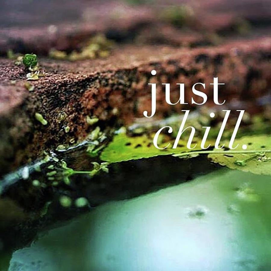 Inspirational Photograph - Whatever Is Going On, Just Chill by Crystal Rayburn
