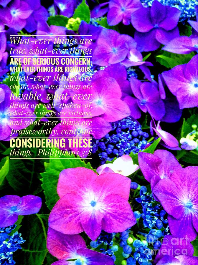 Whatever Things Are True Hydrangeas  Photograph by Joan-Violet Stretch