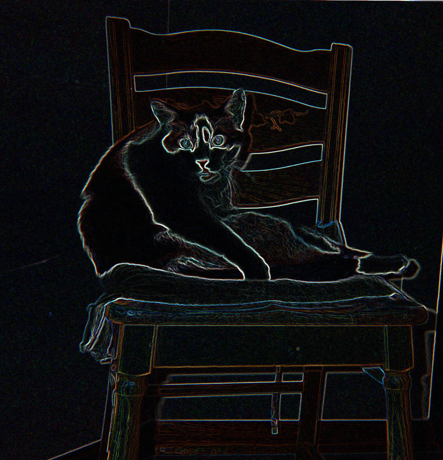 Glowing Cat on Chair Photograph by Gay Pautz