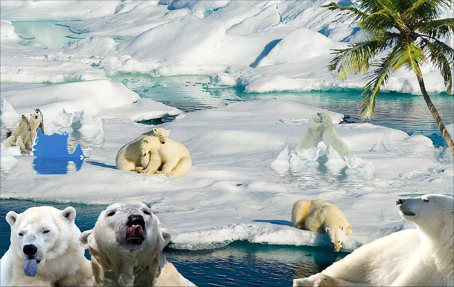 Bear Digital Art - Whats Wrong With This Picture by George W Banks