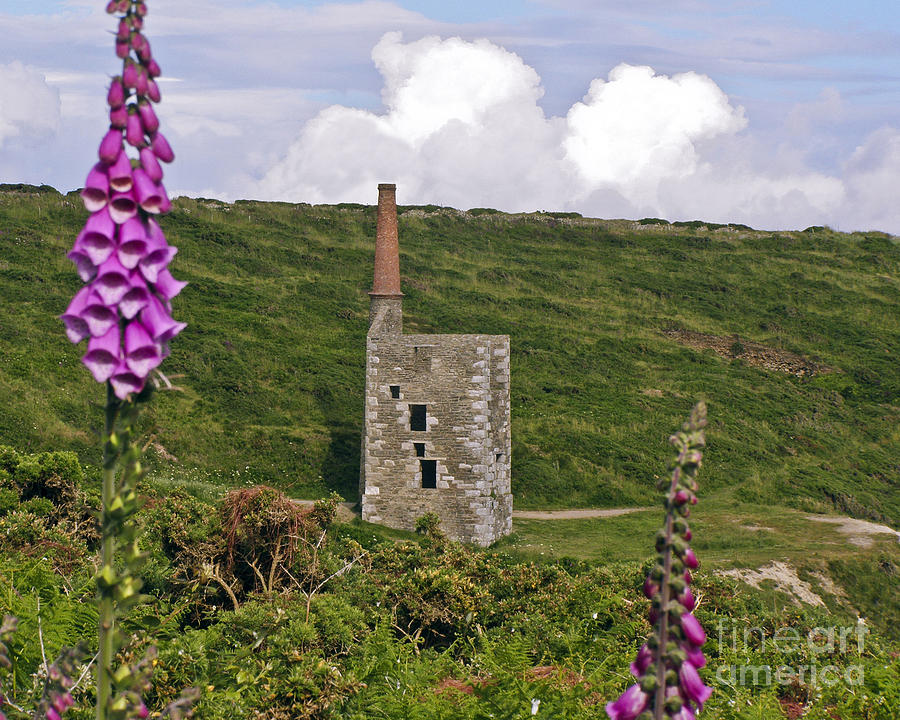 Wheal Prosper Rinsey With Foxgloves Photograph
