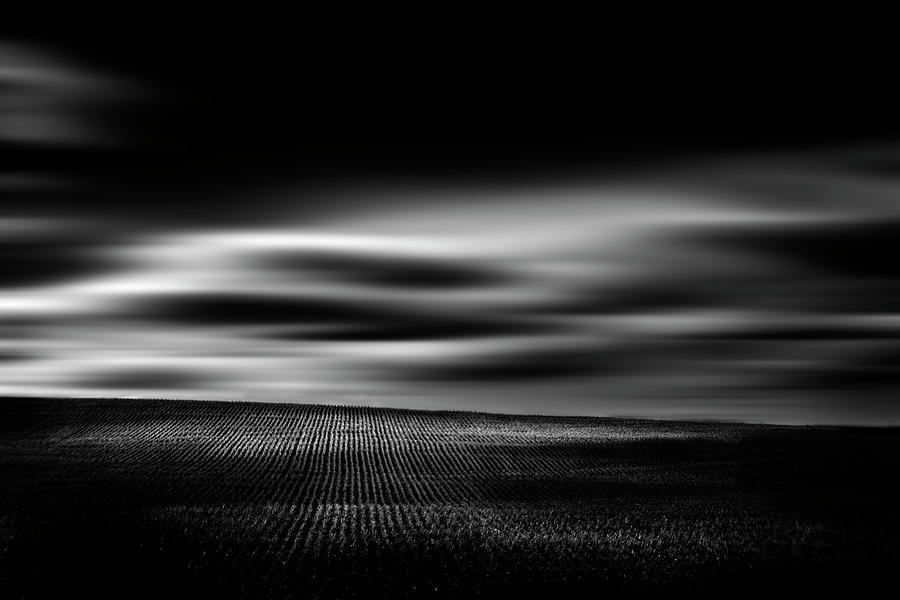 Wheat Abstract Photograph by Dan Jurak