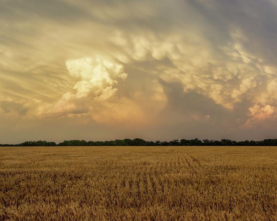 Wheat and Storms -01 Photograph by Rob Graham