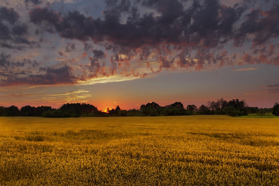 Wheat Field at Sunset in the Fall Photograph by Svetlana Kovyazina ...