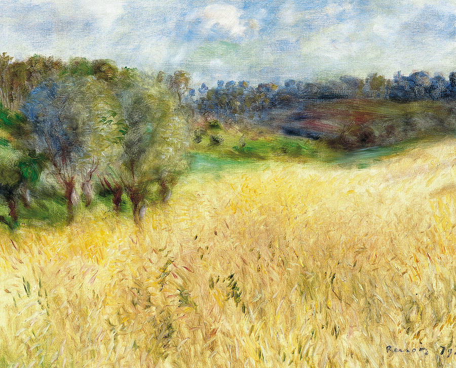Wheat Field  Painting by Auguste Renoir