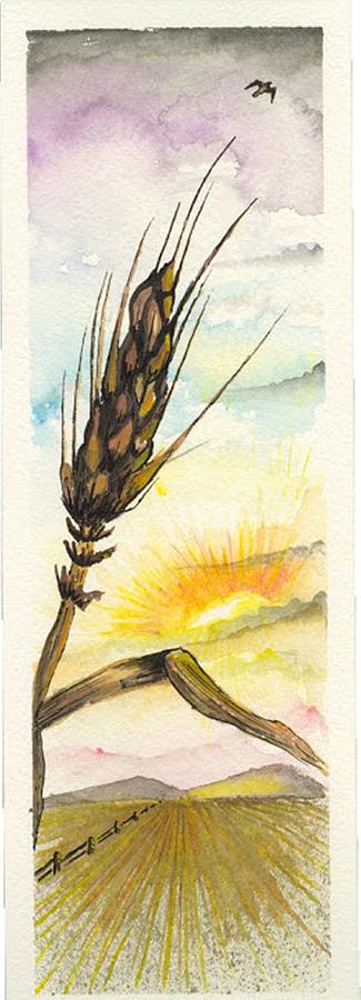 Wheat field study three Digital Art by Darren Cannell