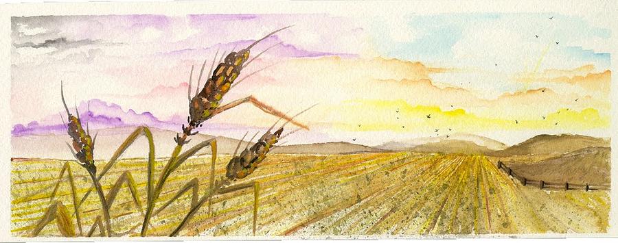 Wheat field study two Digital Art by Darren Cannell
