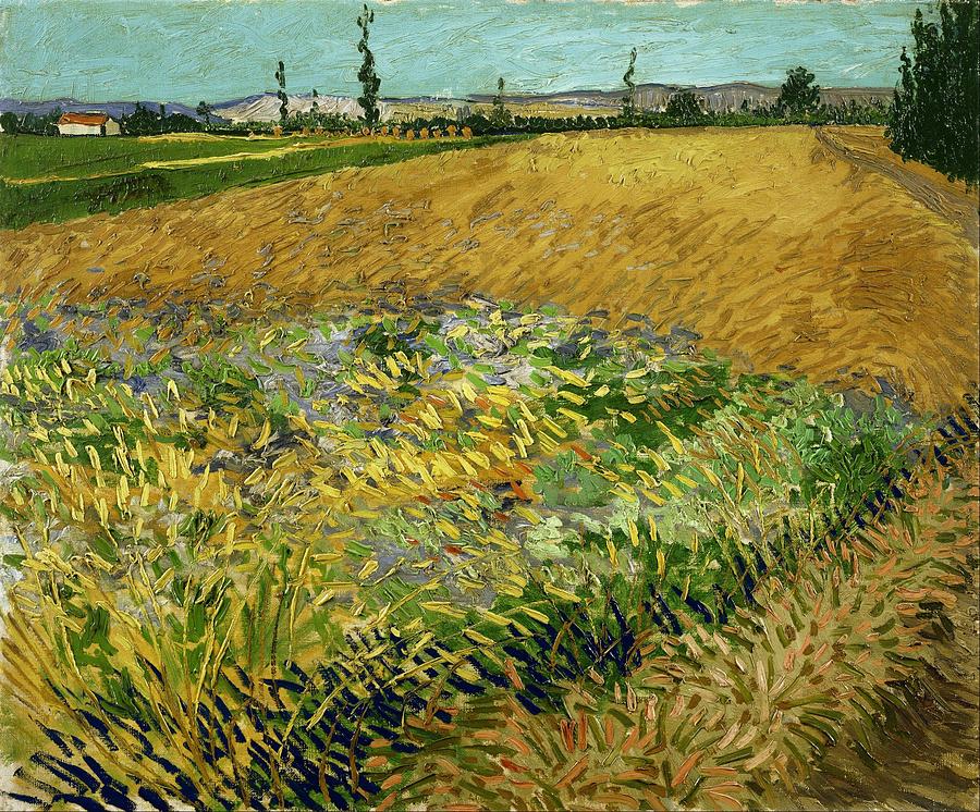 Wheat Field with Alpilles Foothills in the Background at Wheat Fields Van Gogh series, by Vincent va Painting by Celestial Images