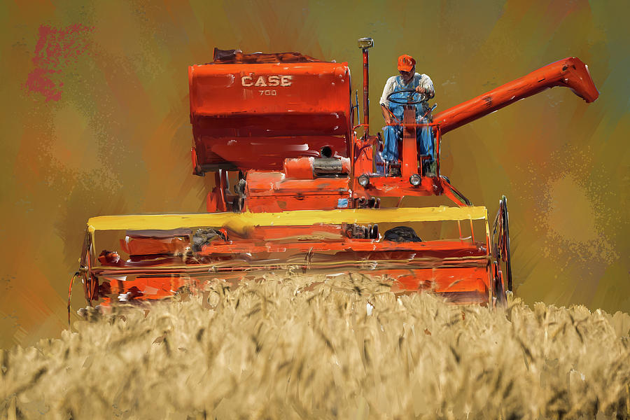 Wheat Harvest Photograph by Paul Freidlund