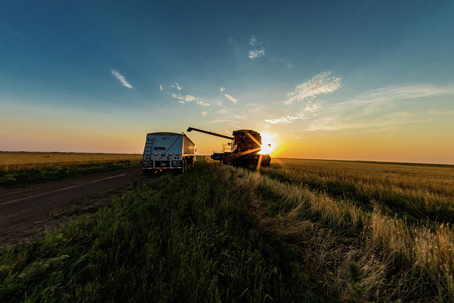 Wheat in the Truck Photograph by Jay Stockhaus