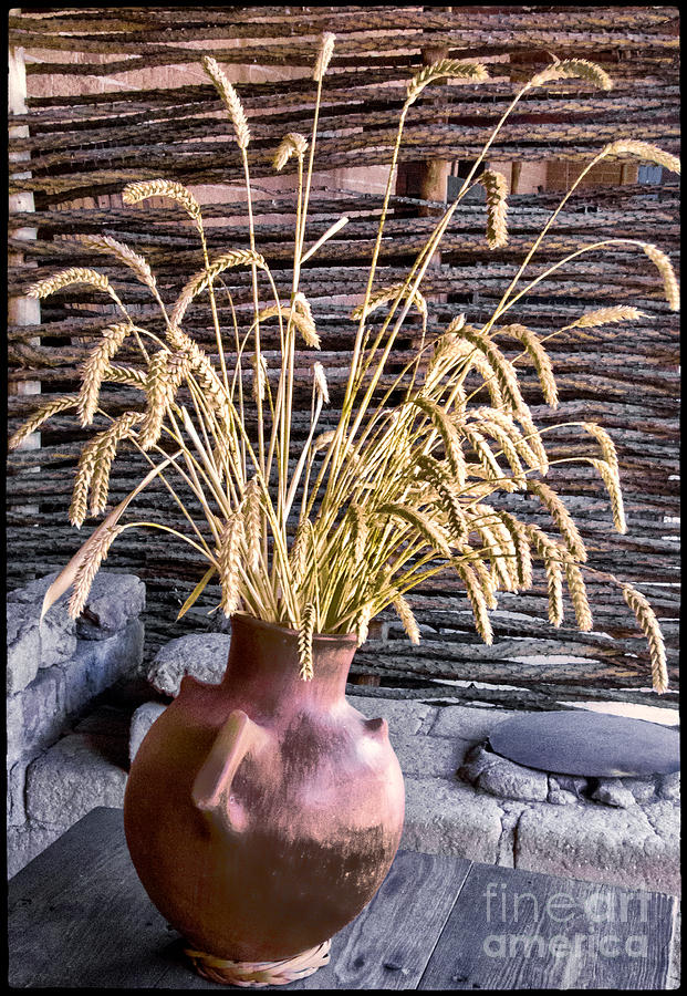 Wheat Pot Digital Art by Georgianne Giese