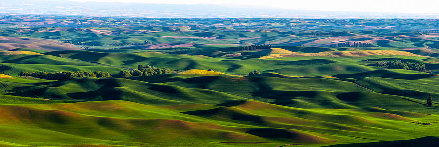 Wheat rolling hills - Palouse Photograph by Hisao Mogi