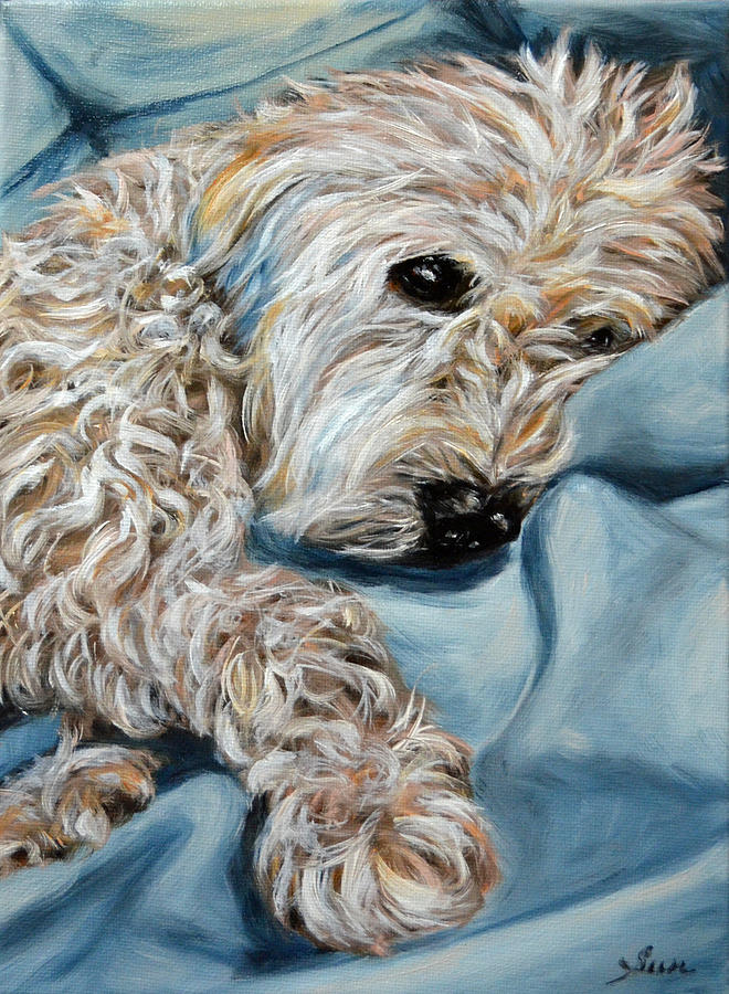 Dog Painting - Wheaten Terrier Dog Painting by Sun Sohovich