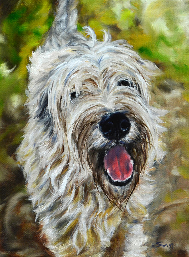 Wheaten Terrier Painting - Wheaten Terrier by Sun Sohovich