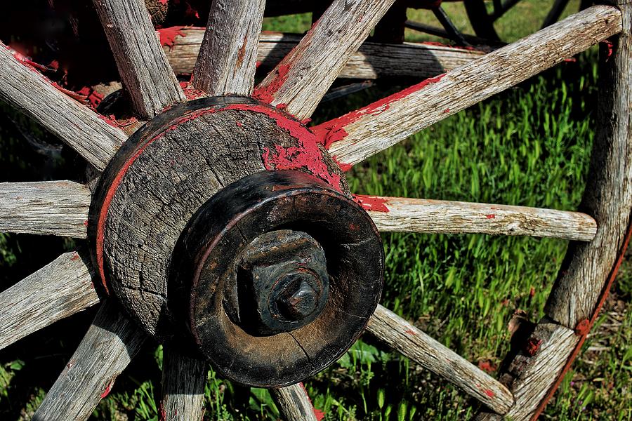 Wheel and Axle Photograph by Buck Buchanan