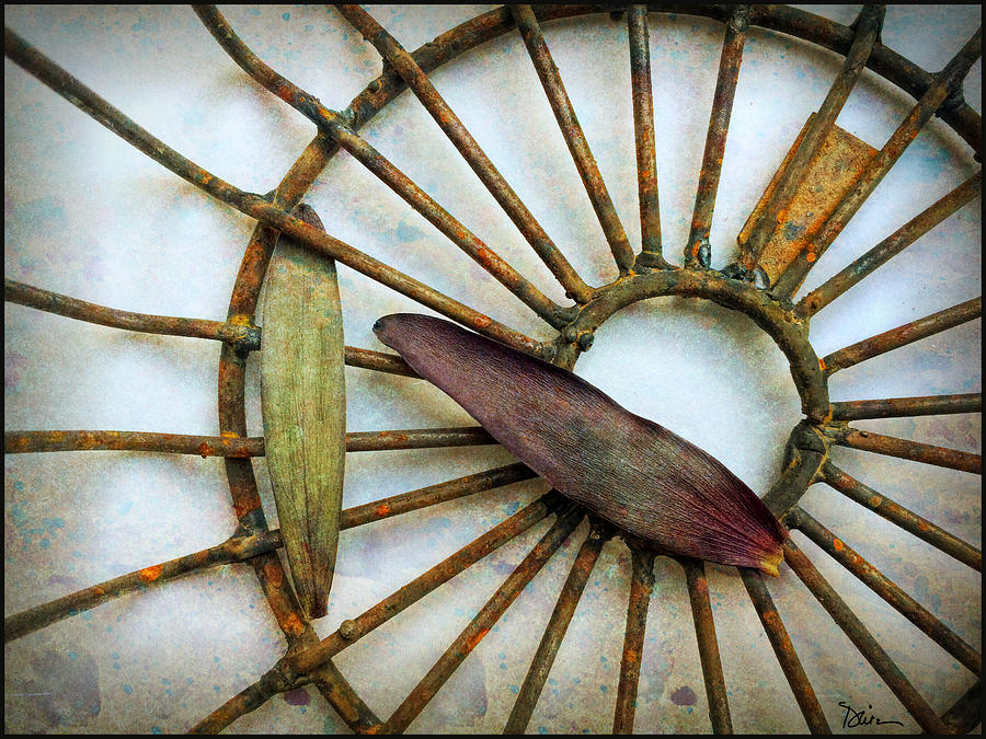 Wheel and Leaves Photograph by Peggy Dietz