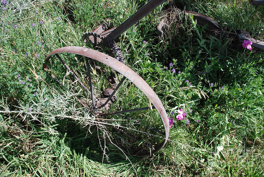 Wheel and Weeds Photograph by Jim Goodman