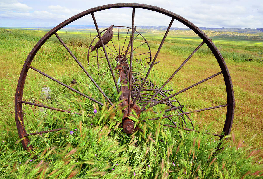 Wheel and Wildflowers on Carrizo Plain Photograph by Kathy Yates