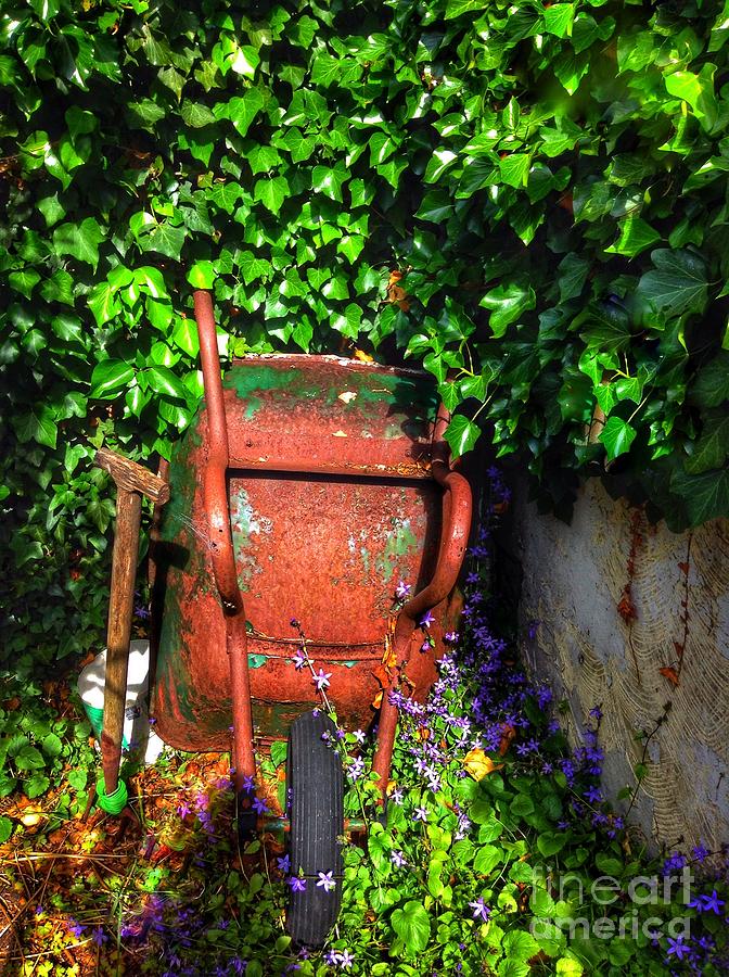 Wheelbarrow And Ivy 2 Photograph by Joan-Violet Stretch
