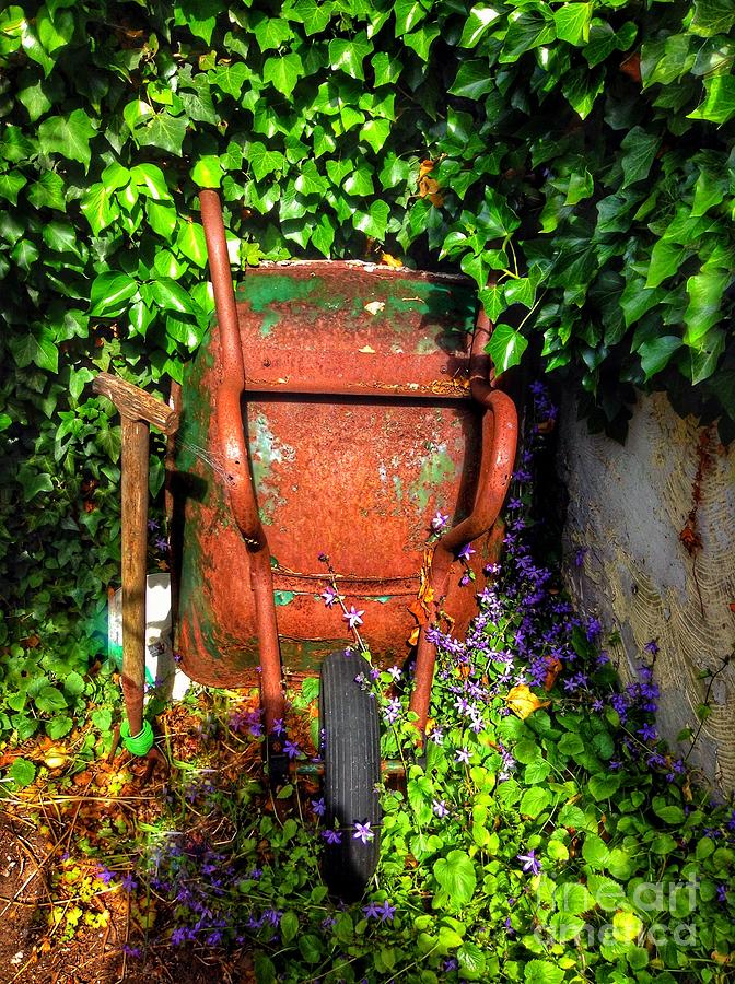 Wheelbarrow and Ivy  Photograph by Joan-Violet Stretch
