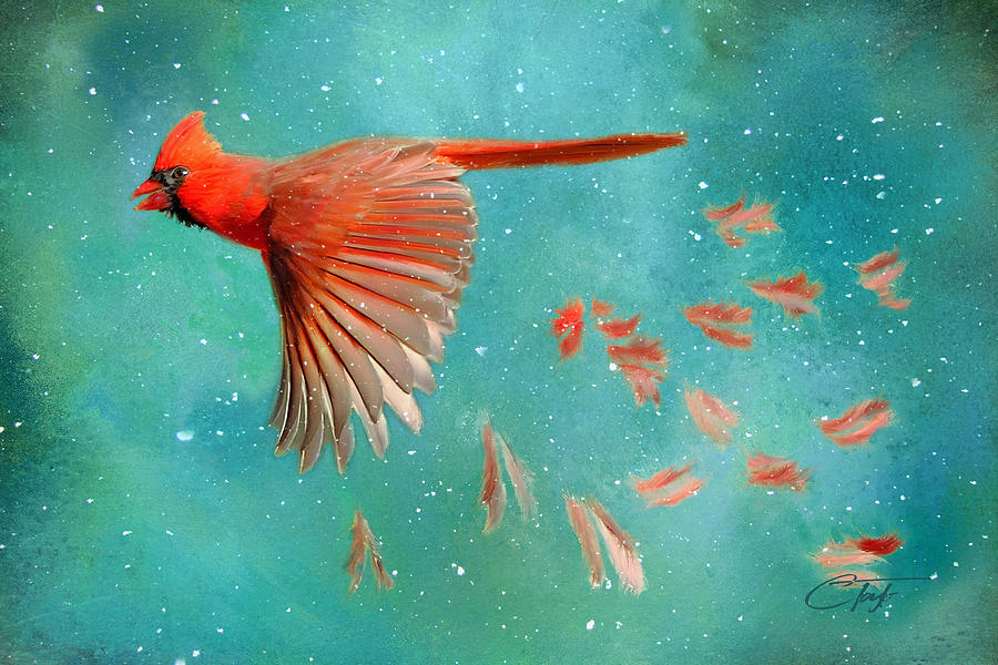 When Feathers Fly II Painting