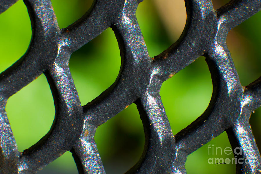 When Iron Meets Nature Abstract by Claudia Ellis Photograph by Claudia Ellis