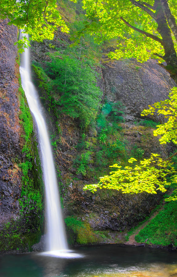 When Light and Water Falls - Horsetail Falls #3B - Columbia River Gorge National Scenic Area, Oregon Photograph by Michael Mazaika