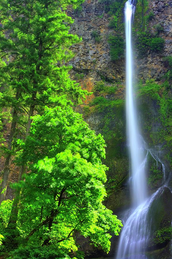 When Light and Water Falls - Multnomah Falls #16 - Columbia River Gorge National Scenic Area, Oregon Photograph by Michael Mazaika