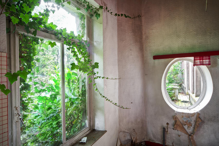 When nature takes over - Abandoned buildings Photograph by Dirk Ercken