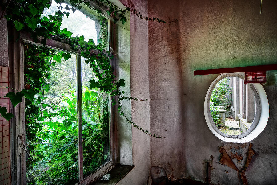 Castle Photograph - When nature takes over - urban exploration by Dirk Ercken