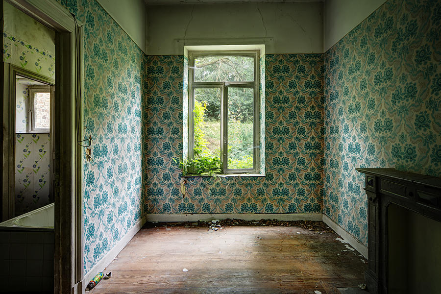 When nature takes over  vintage wallpaper- urban exploration Photograph by Dirk Ercken