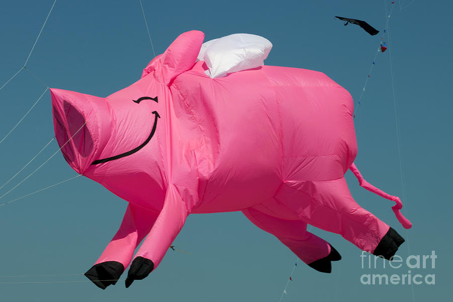 When Pigs Fly Photograph by Anthony Totah