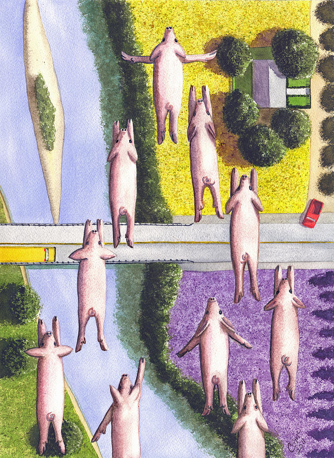 Pig Painting - When Pigs Fly by Catherine G McElroy