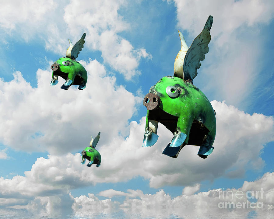 When Pigs Fly Photograph by Juli Scalzi