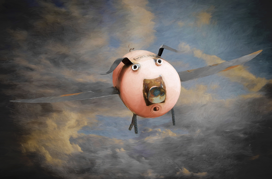 When Pigs Fly Photograph by Steven Michael