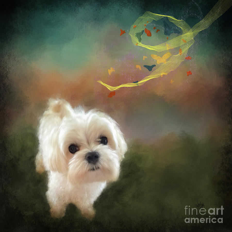 Dog Digital Art - When Puppies Get Confused by Lois Bryan