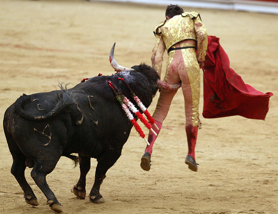 Bull Photograph - When the Bull Gores the Matador I by Rafa Rivas