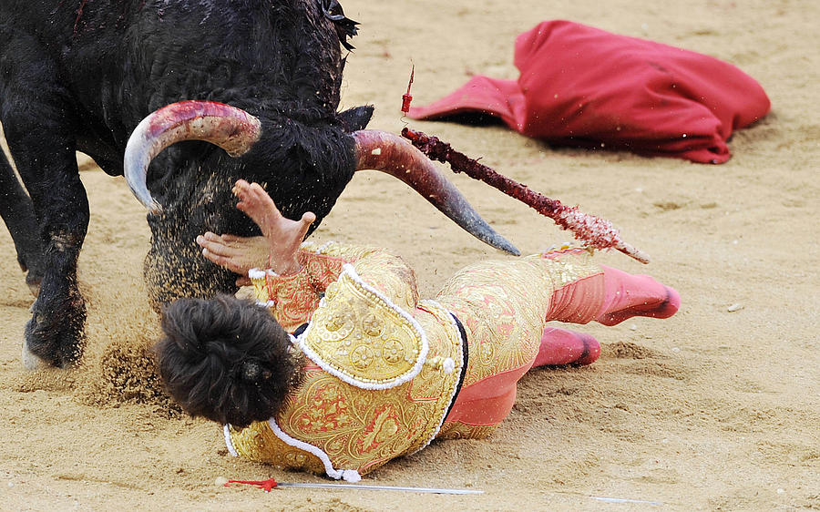 Bull Photograph - When the Bull Gores the Matador VI by Rafa Rivas