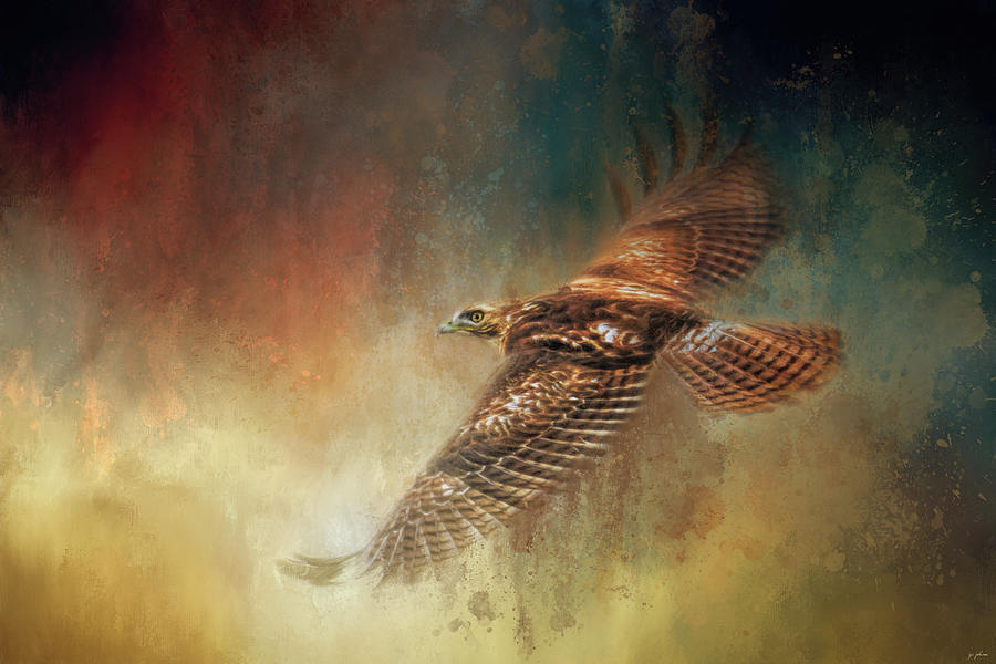 When The Redtail Flies At Sunset 2 Painting by Jai Johnson