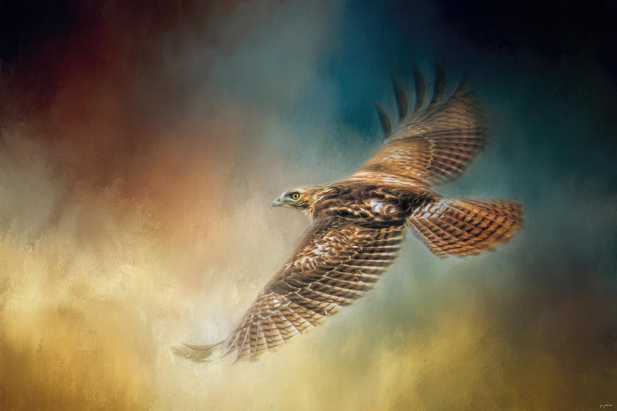 When The Redtail Flies At Sunset Hawk Art Painting by Jai Johnson
