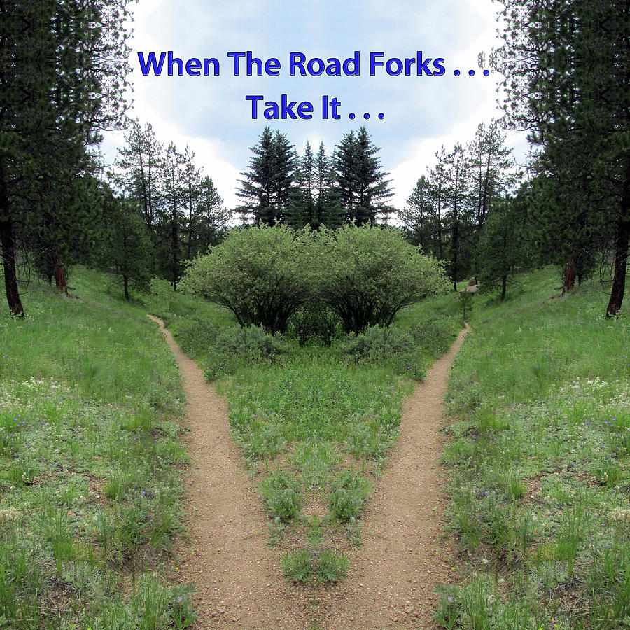 When The Road Forks, Take It Into The Forest Digital Art by Julia L Wright
