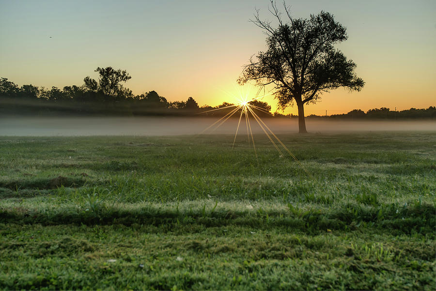 When the Rooster Crows - Morning Sunrise Photograph by Gregory Ballos When the Rooster Crows - Morning Sunrise Photograph by Gregory Ballos
