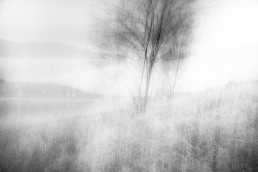 When The Wind Woke Photograph by Dorit Fuhg